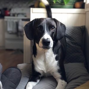 Meet your Posher, Emiko